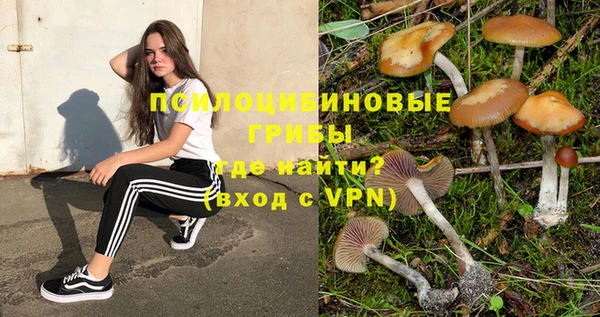 гидра Кулебаки