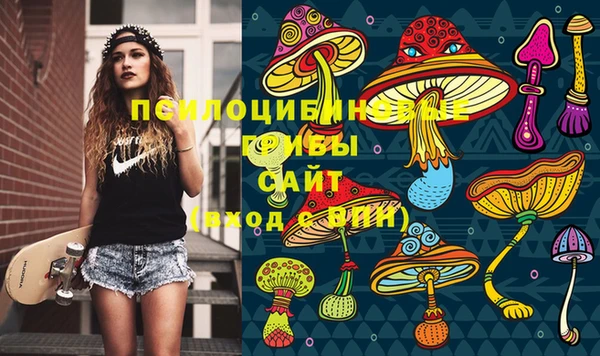 гидра Кулебаки