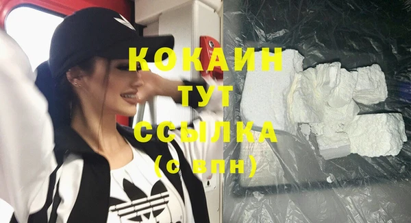 гидра Кулебаки